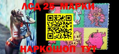 Альфа ПВП Новодвинск