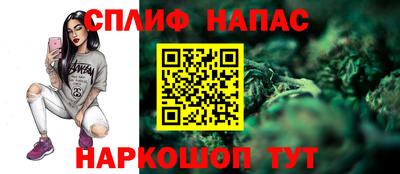 Альфа ПВП Новодвинск