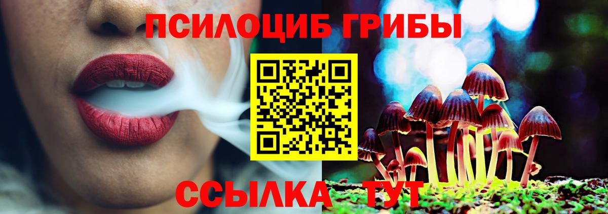 Северск  Псилоцибиновые грибы Cubensis  Вход с VPN 