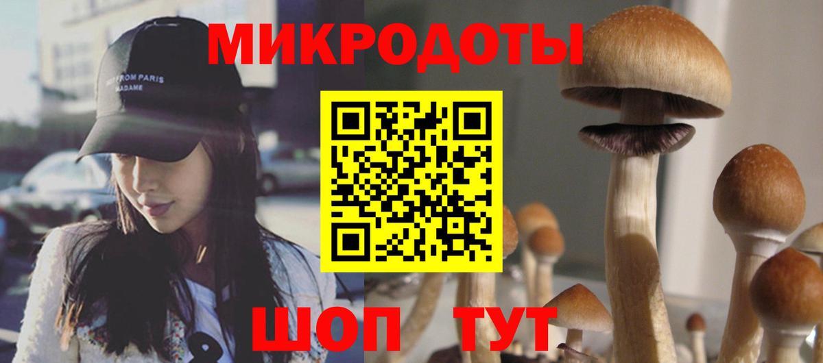 Галлюциногенные грибы Cubensis Северск